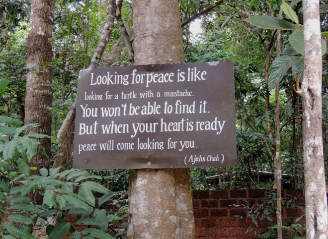 One of the many quotes of Ven. Ajahn Chah.
