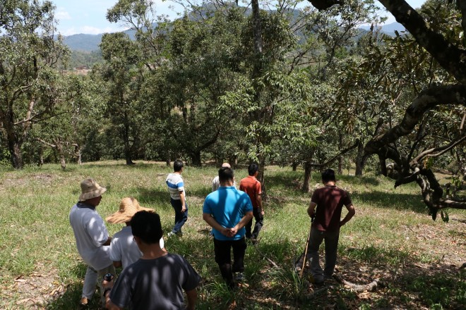 Surveying the site of 'Wisdom Park'.