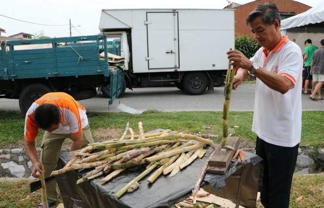 Sugarcane all the way from Kelantan.