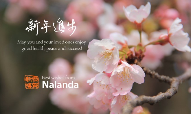 Lunar New Year greetings 2017.